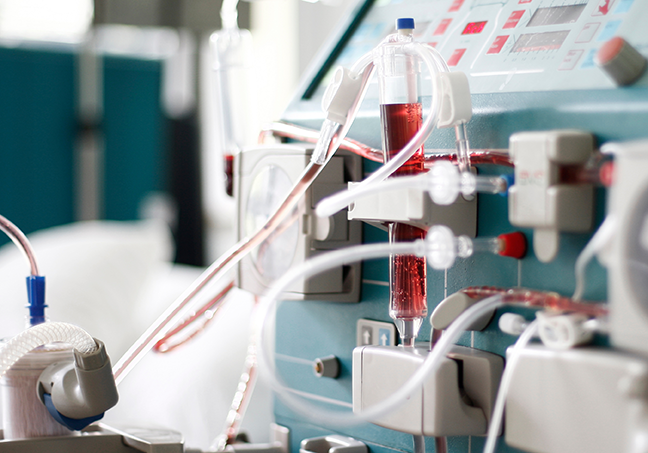 Nouveau en 2025, la dialyse vétérinaire arrive à Toulouse! Nouveau en 2025, la dialyse vétérinaire arrive à Toulouse!