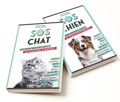 Urgences VETERINAIRES Toulouse Urgences VETERINAIRES Toulouse 24h/24