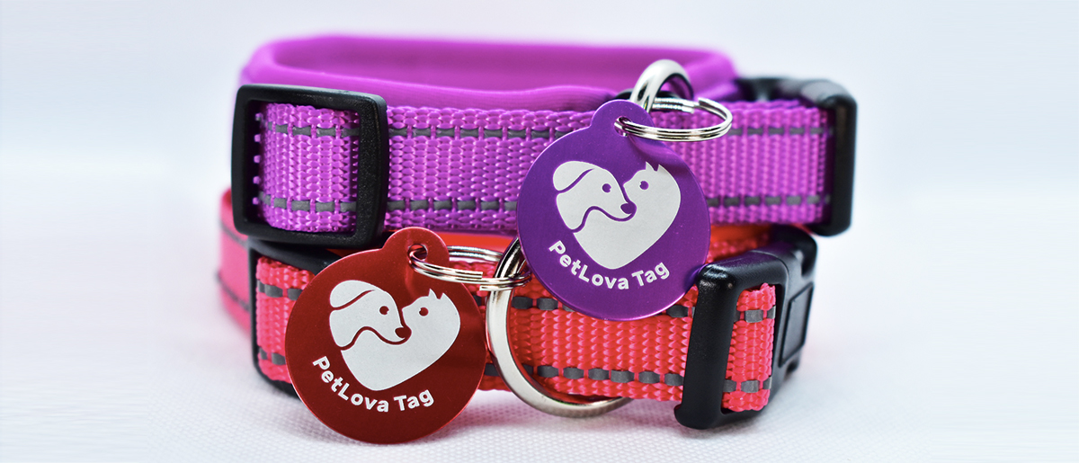 Urgences VETERINAIRES Toulouse Urgences VETERINAIRES Toulouse 24h/24