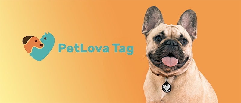 PetLova Tag, l’identification de votre chien et chat