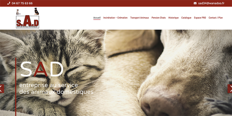 Urgences VETERINAIRES Toulouse 24h/24