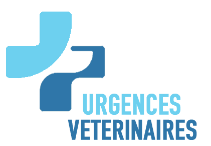 Urgences VETERINAIRES Toulouse Urgences VETERINAIRES Toulouse
